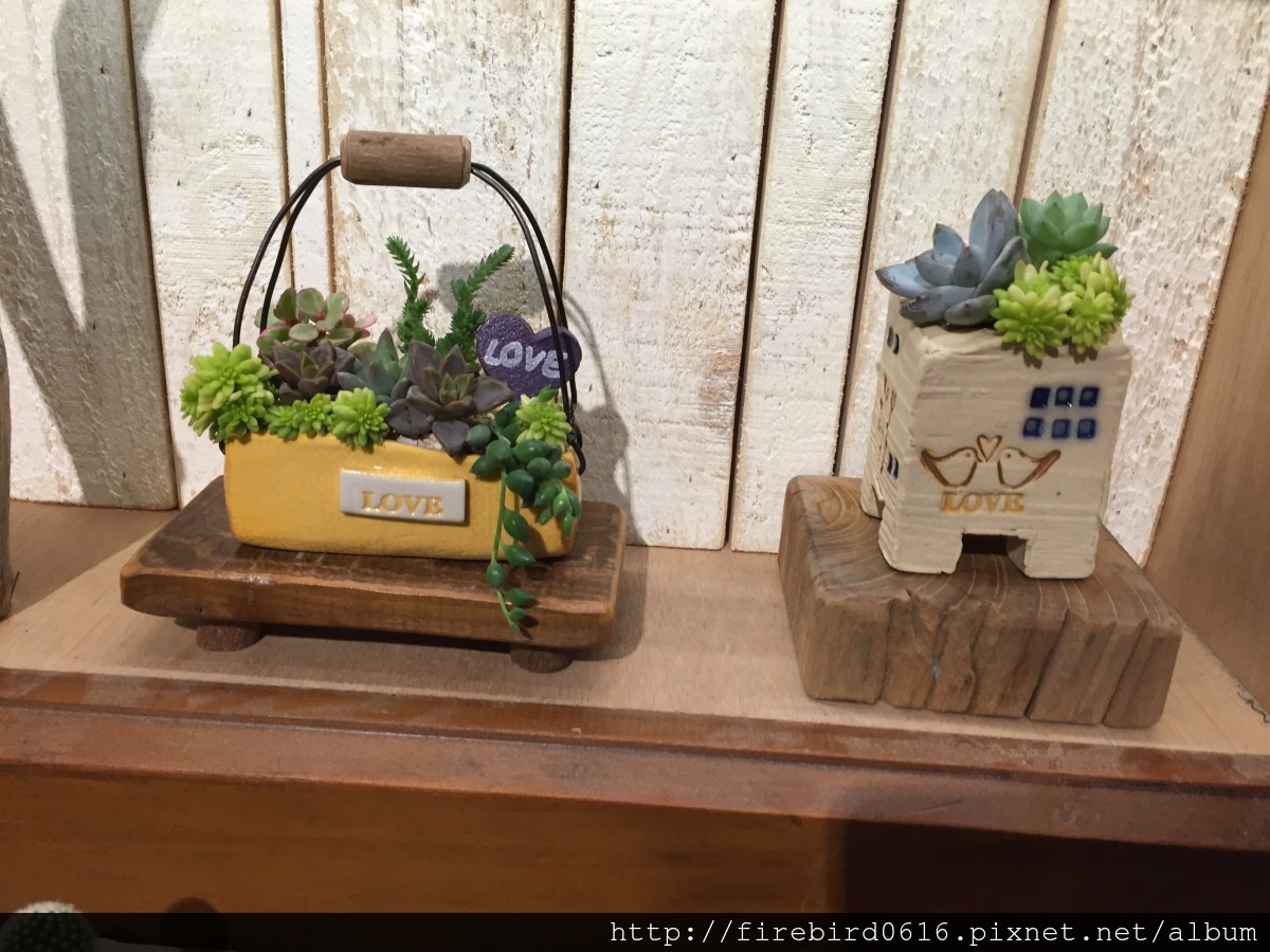 2 Plant-MetroWalk-4F-Lungzi8.JPG