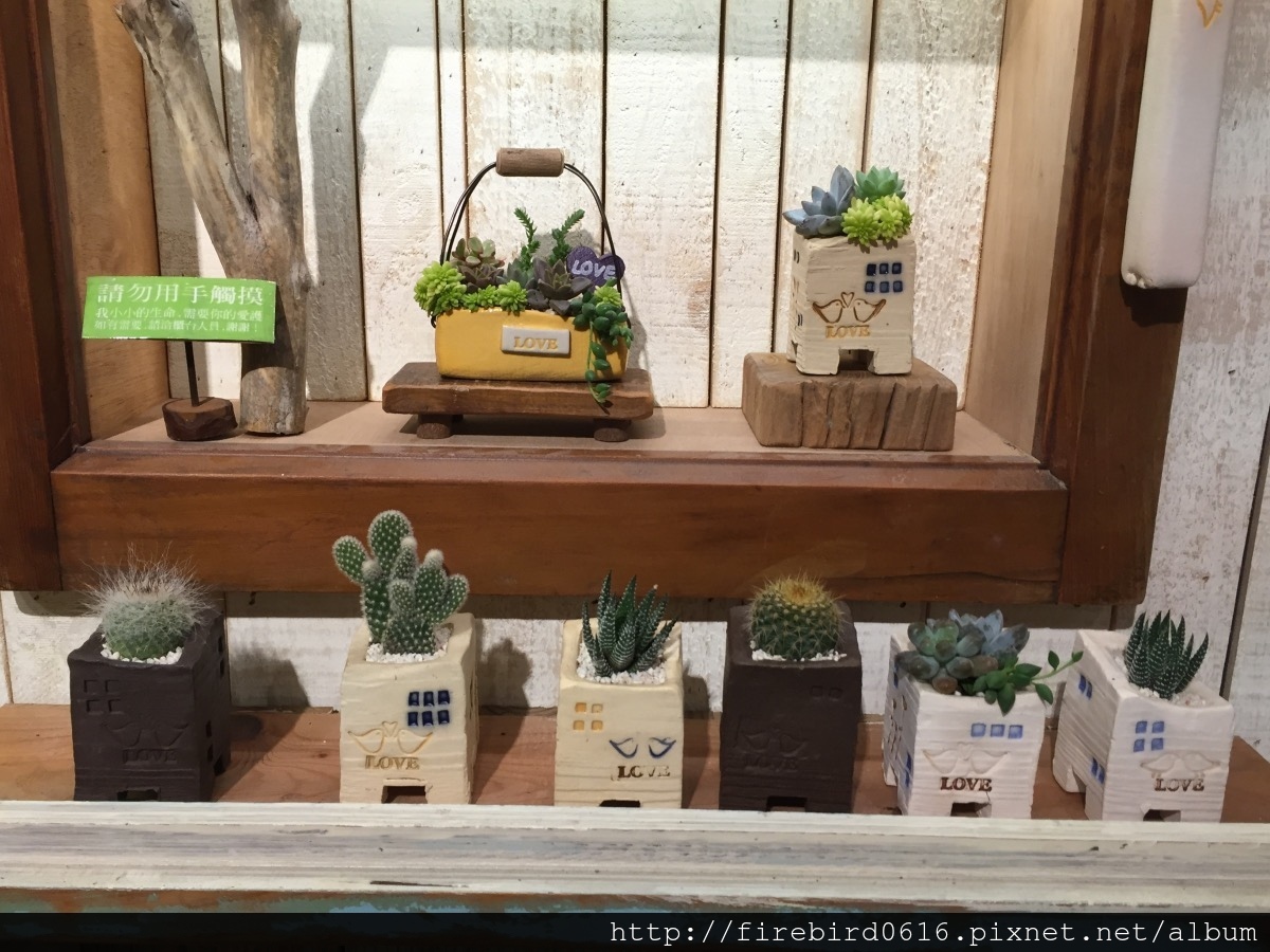 2 Plant-MetroWalk-4F-Lungzi9.JPG