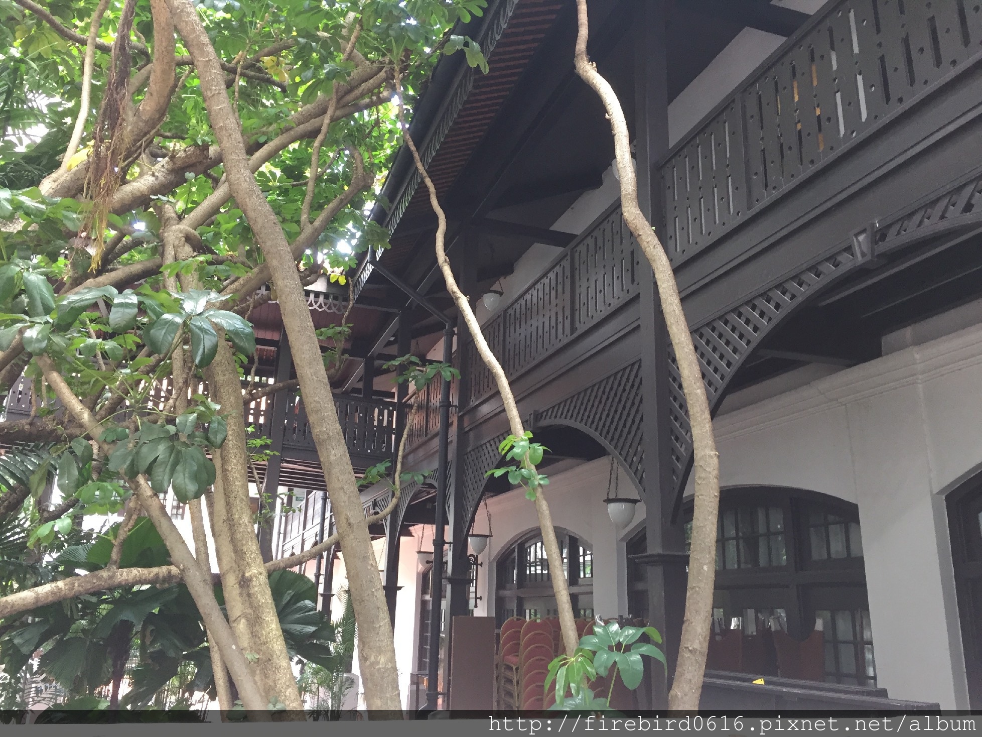 1Singapore-Raffles-hotel99.jpg