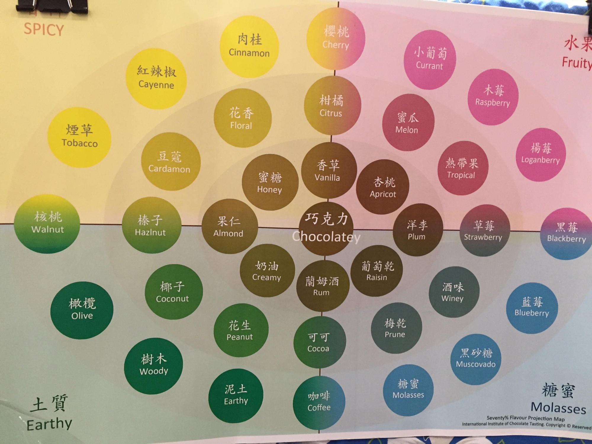 2-5台灣可可17.jpg