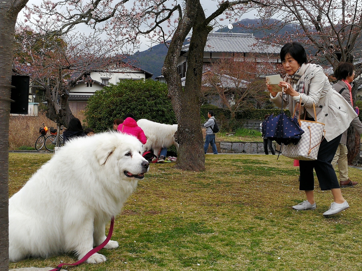 9錦帶橋19.jpg 9錦帶橋19.jpg