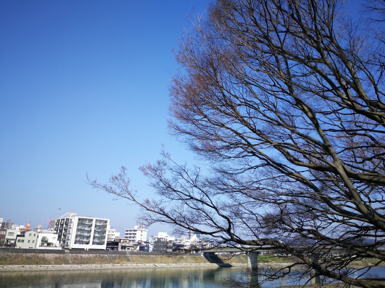 岡山後樂園-岡山城3.jpg