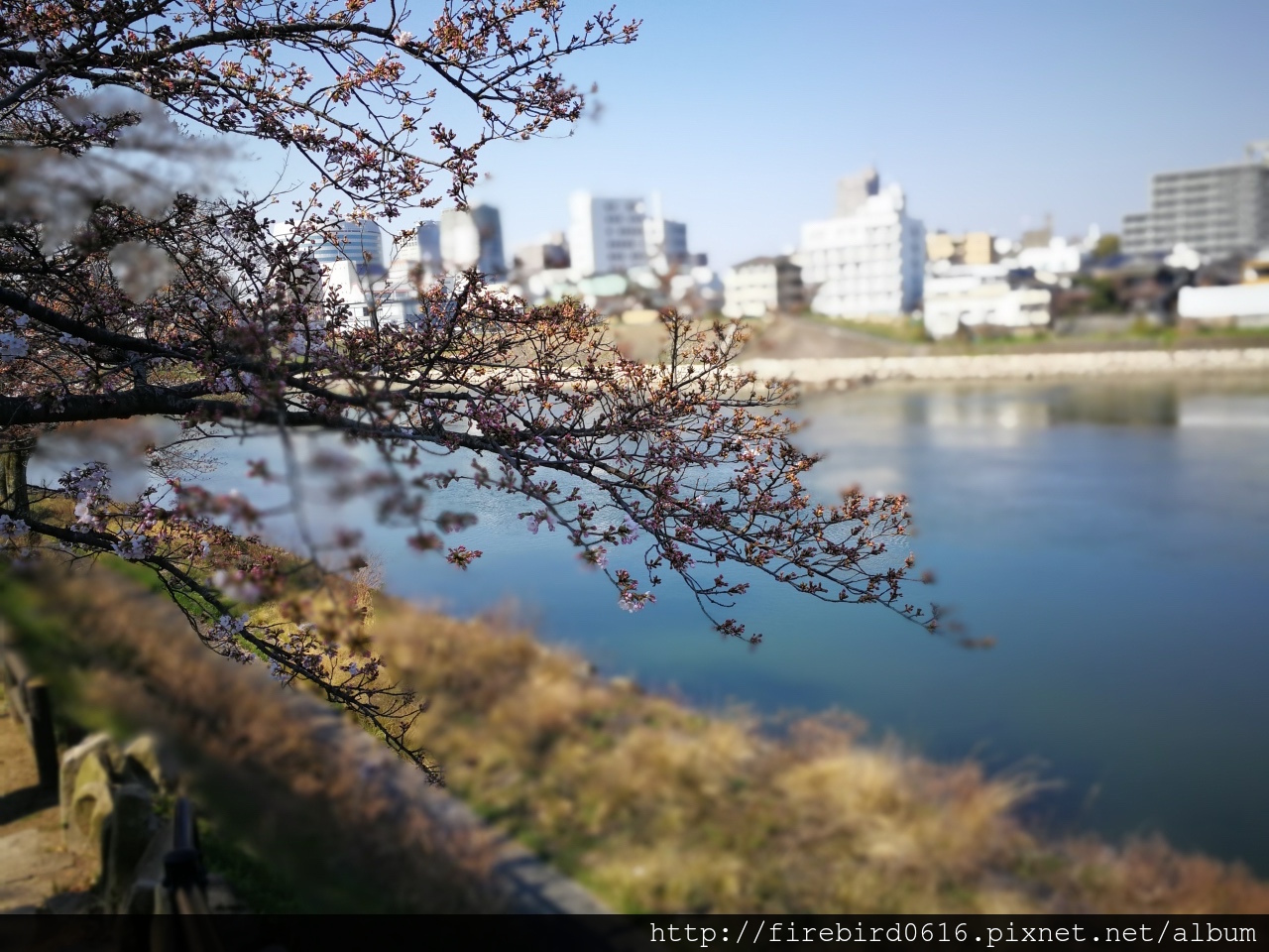 岡山後樂園-岡山城9.jpg