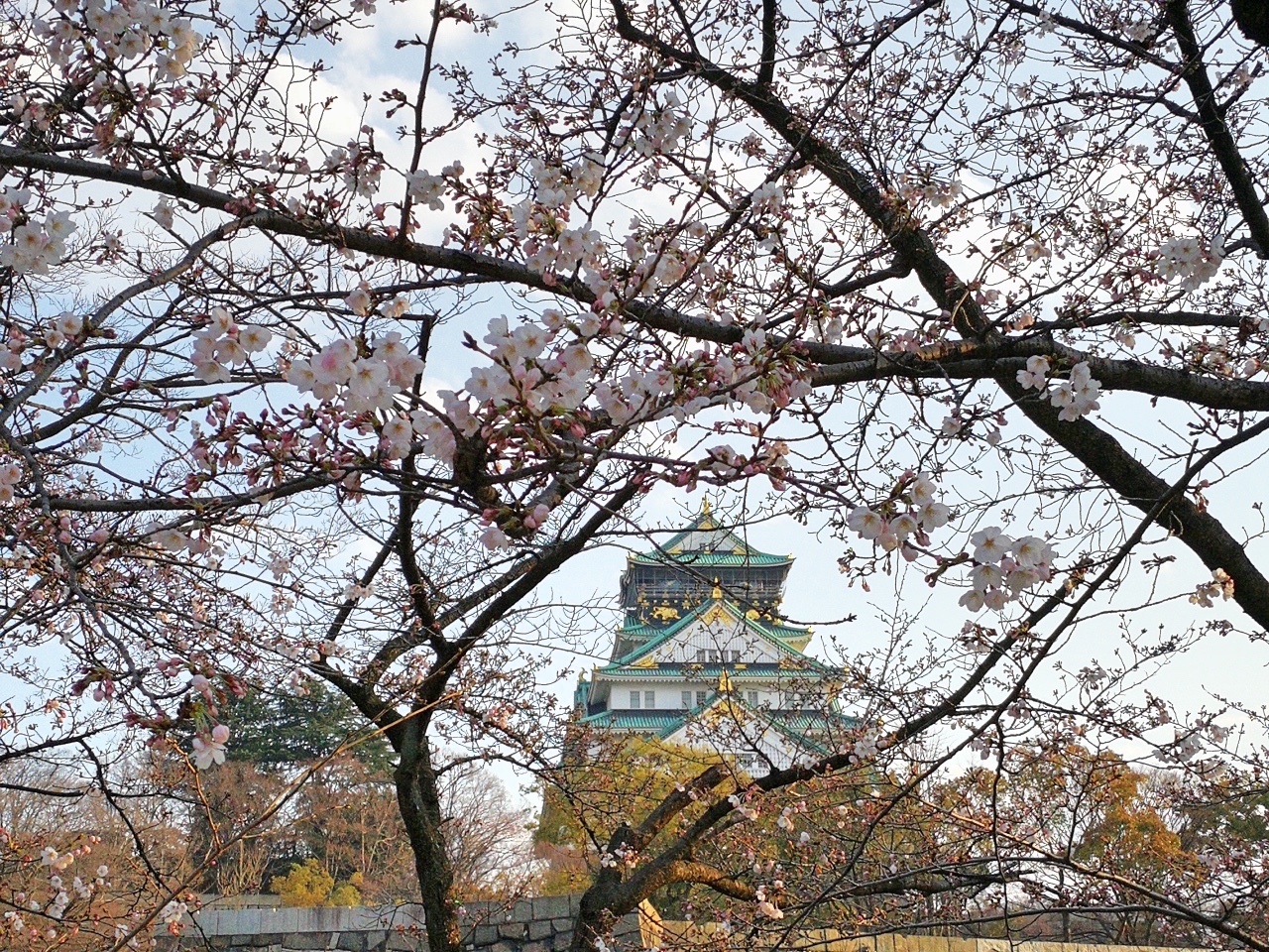 1二訪大阪城15.jpg
