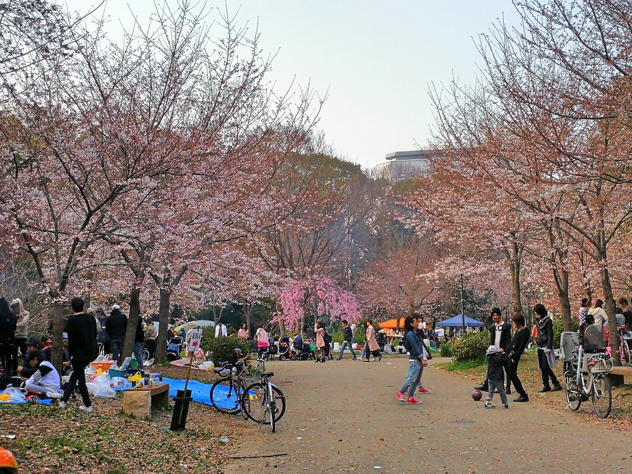 2二訪大阪城5.jpg