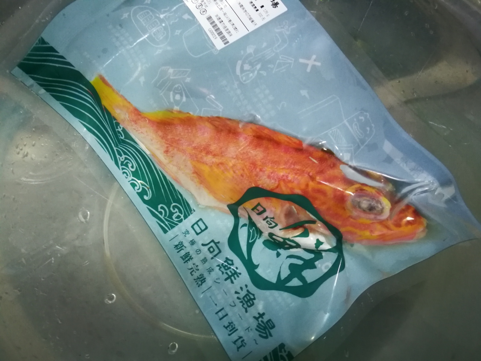 1日向鮮魚場-石狗公1.jpg 1日向鮮魚場-石狗公1.jpg