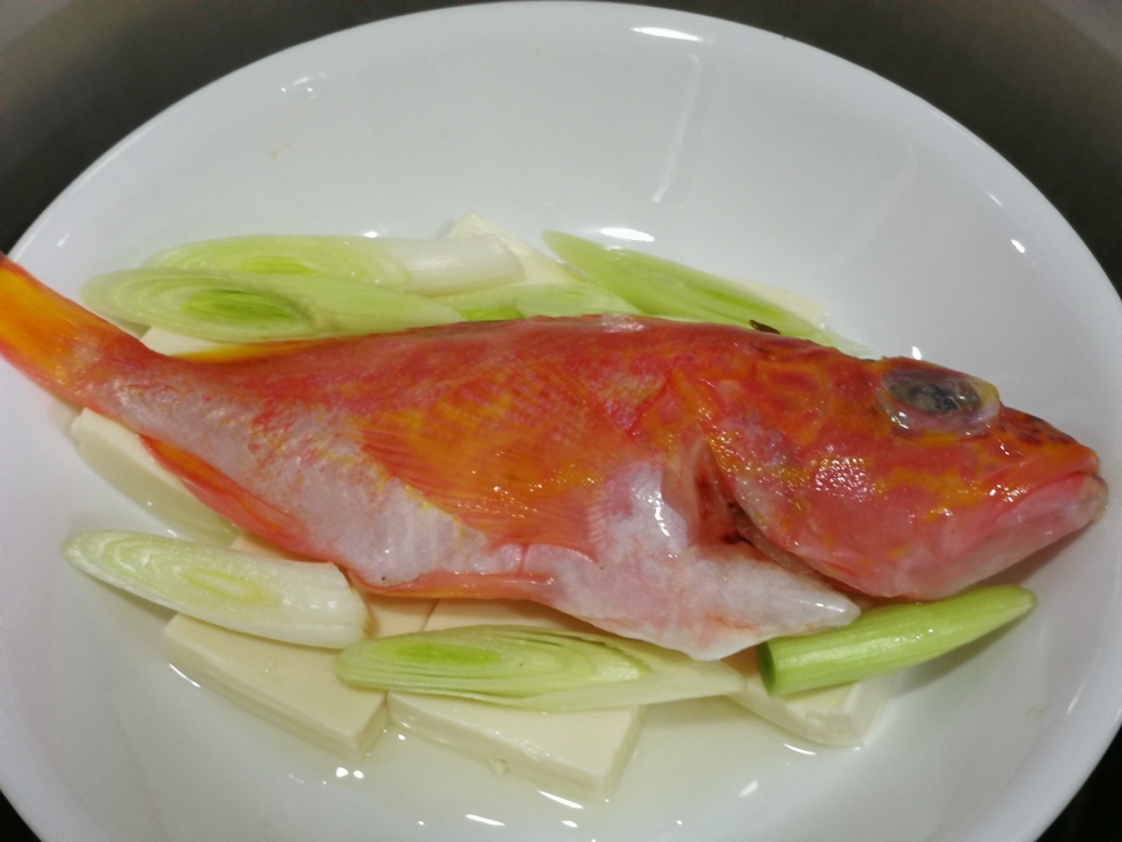 3-1日向鮮魚場-石狗公8.jpg 3-1日向鮮魚場-石狗公8.jpg