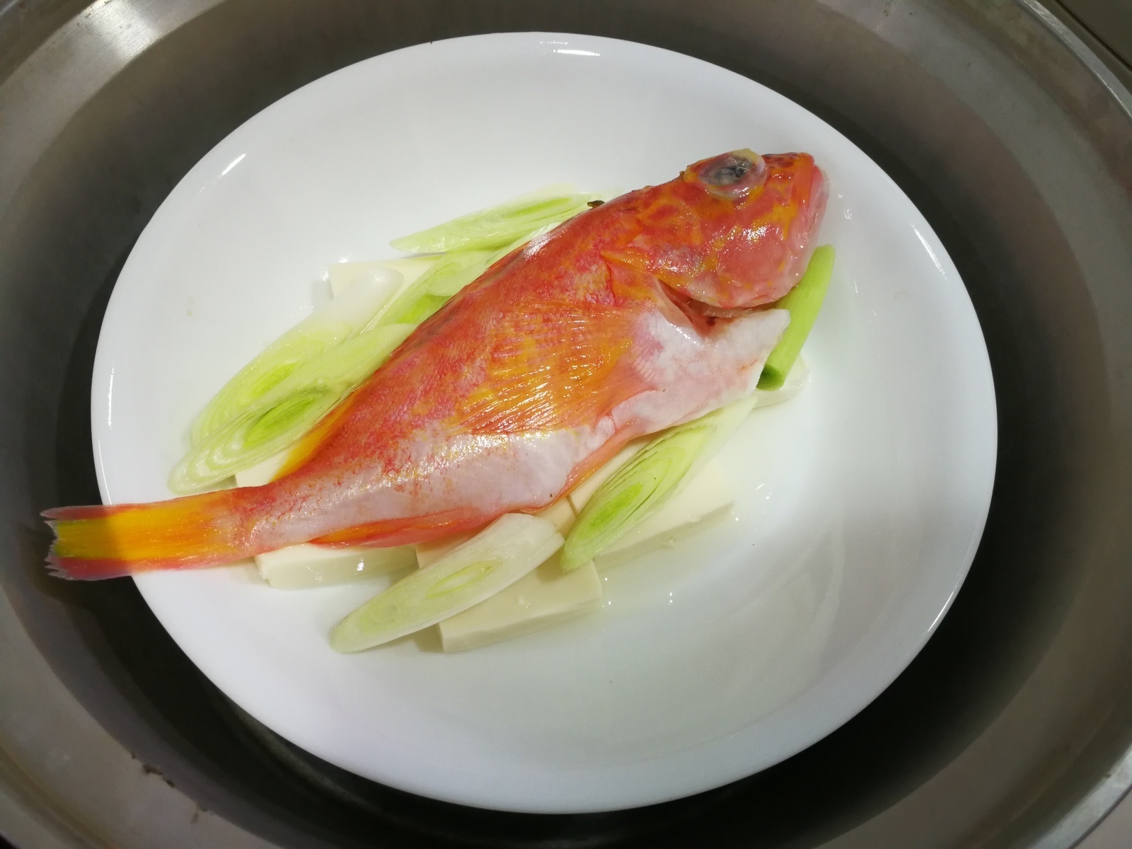 3-1日向鮮魚場-石狗公5.jpg 3-1日向鮮魚場-石狗公5.jpg