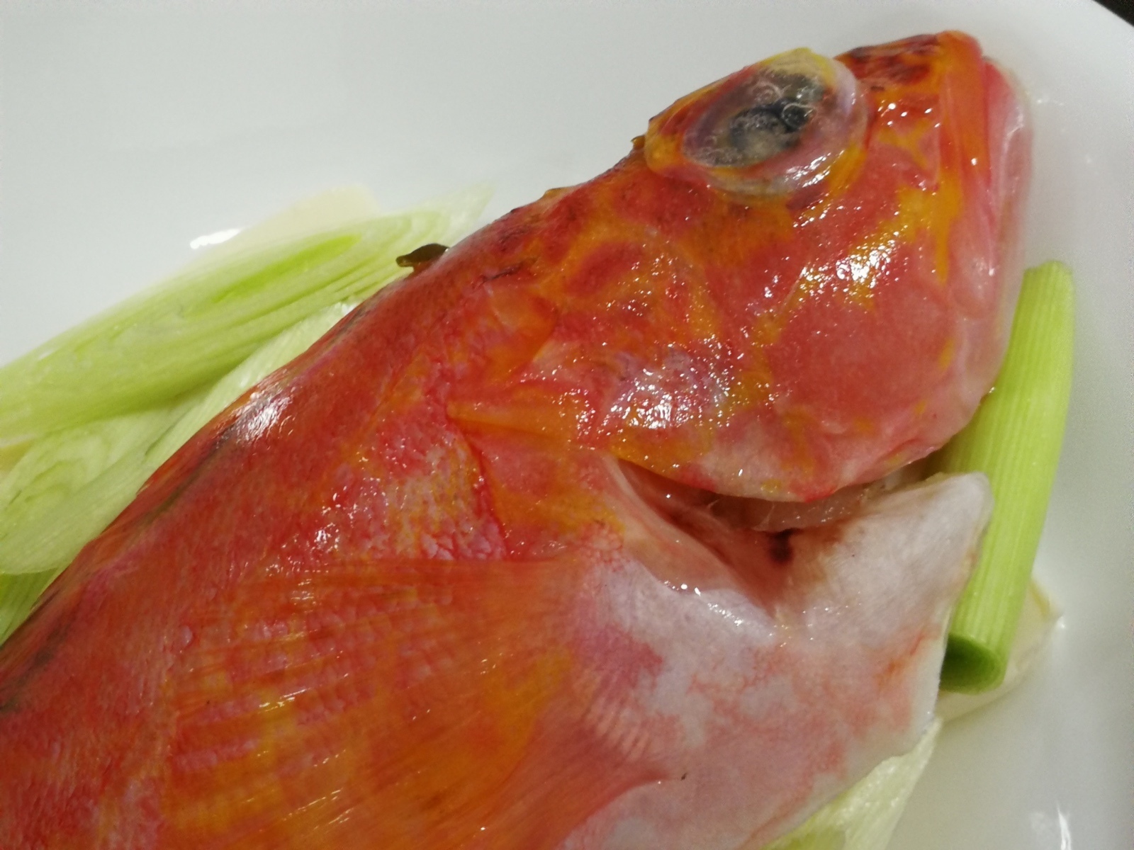 3-2日向鮮魚場-石狗公6.jpg 3-2日向鮮魚場-石狗公6.jpg