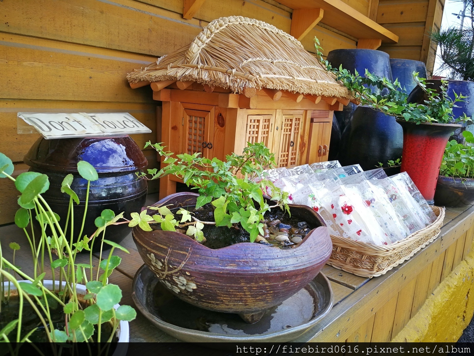韓國釜山自由行必訪景點--甘川洞文化村39.jpg