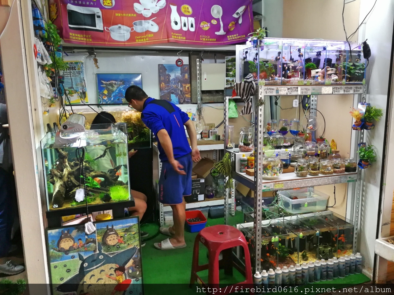 龍潭-菱潭街興創基地59.jpg