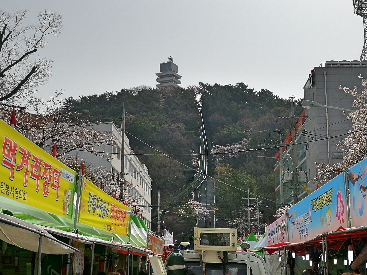 3釜山自由行Jinhae鎮海賞櫻1-45.jpg