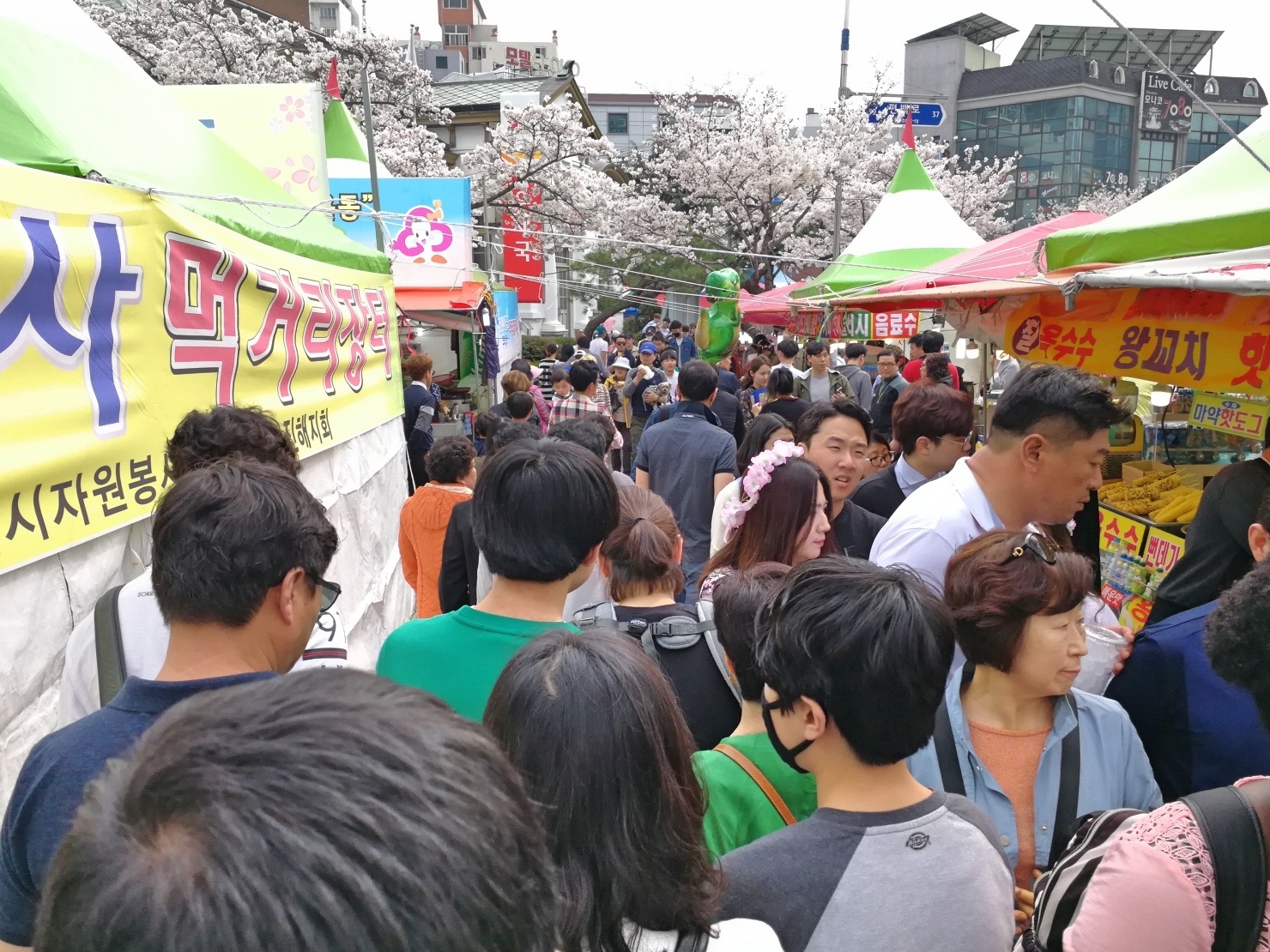 7釜山自由行Jinhae鎮海賞櫻2-49.jpg