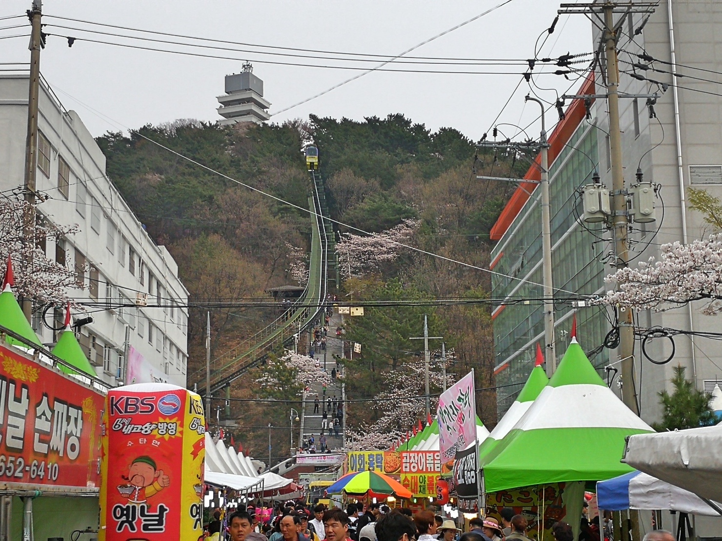 7釜山自由行Jinhae鎮海賞櫻2-51.jpg
