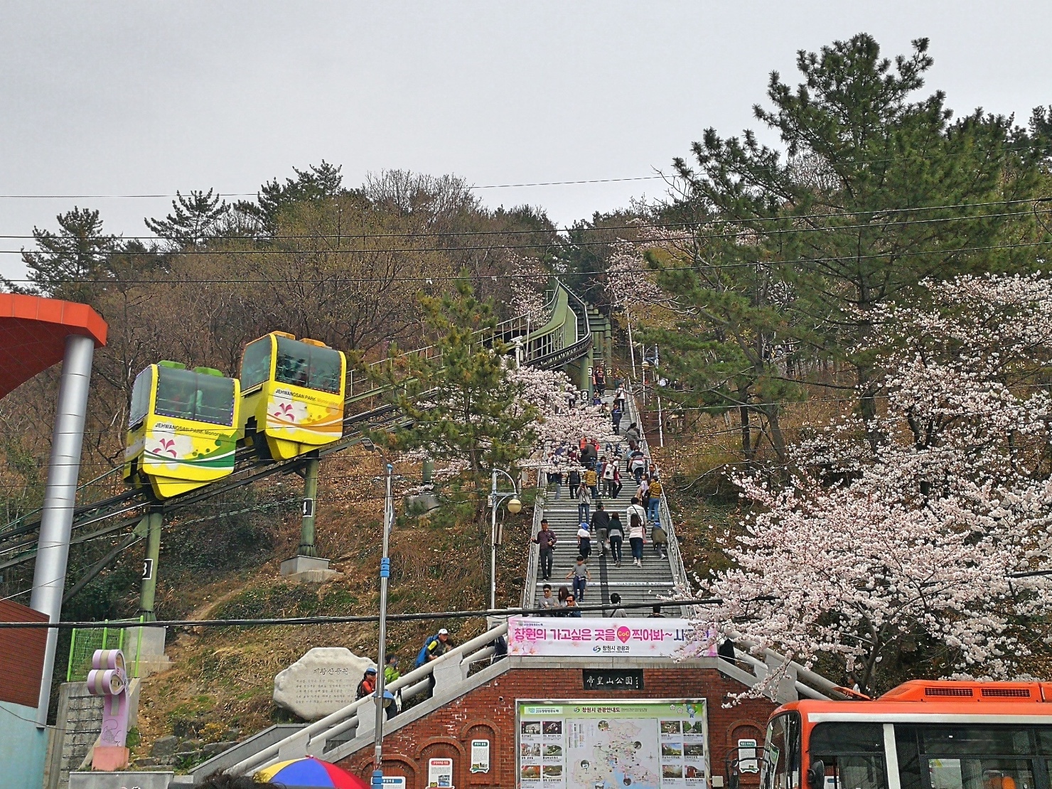 7釜山自由行Jinhae鎮海賞櫻2-52.jpg