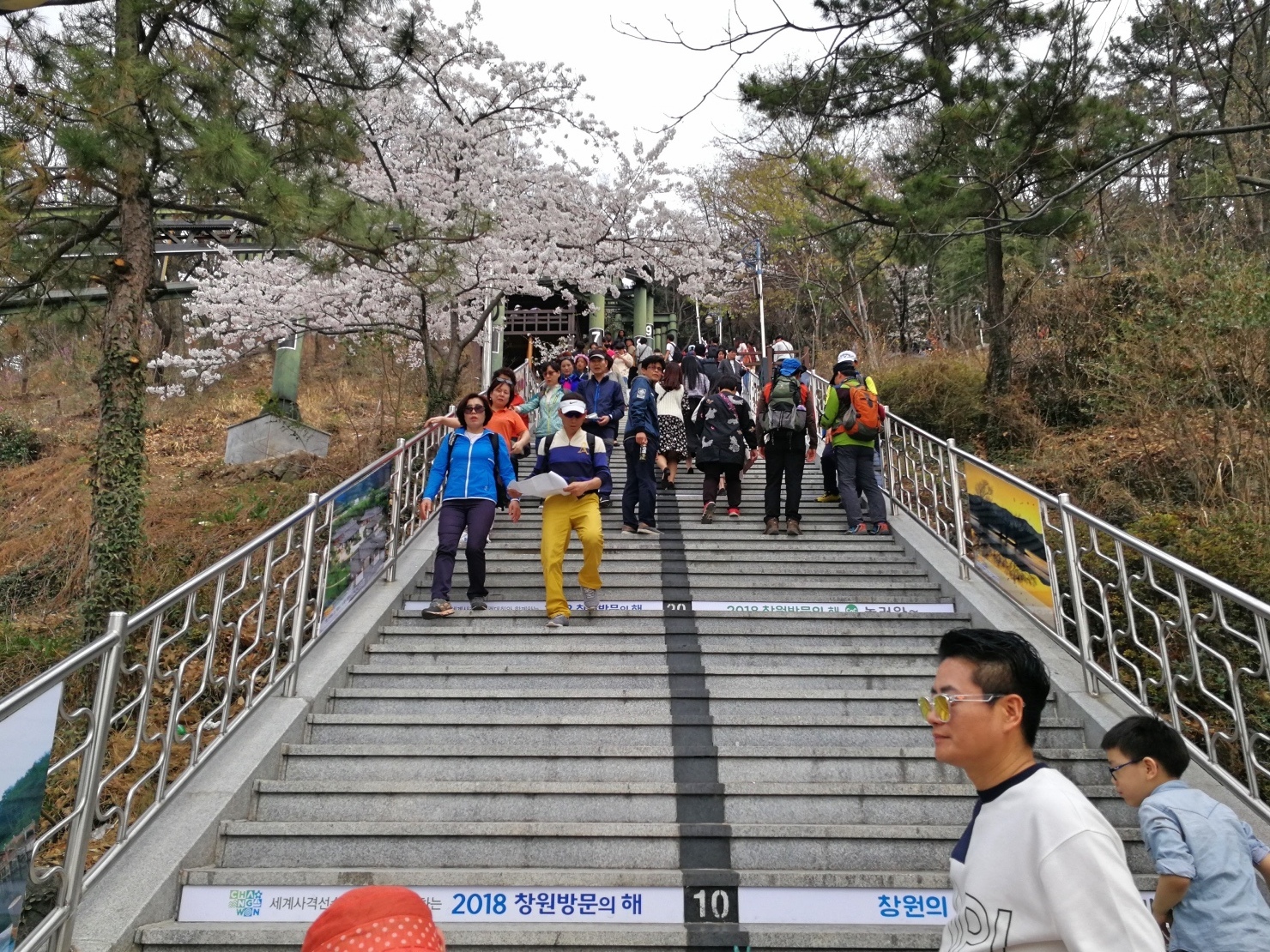 7釜山自由行Jinhae鎮海賞櫻2-54.jpg