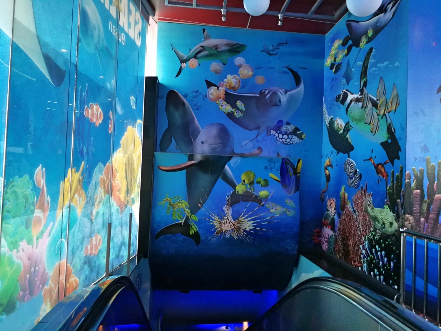 1-6釜山海雲臺海生館7.jpg
