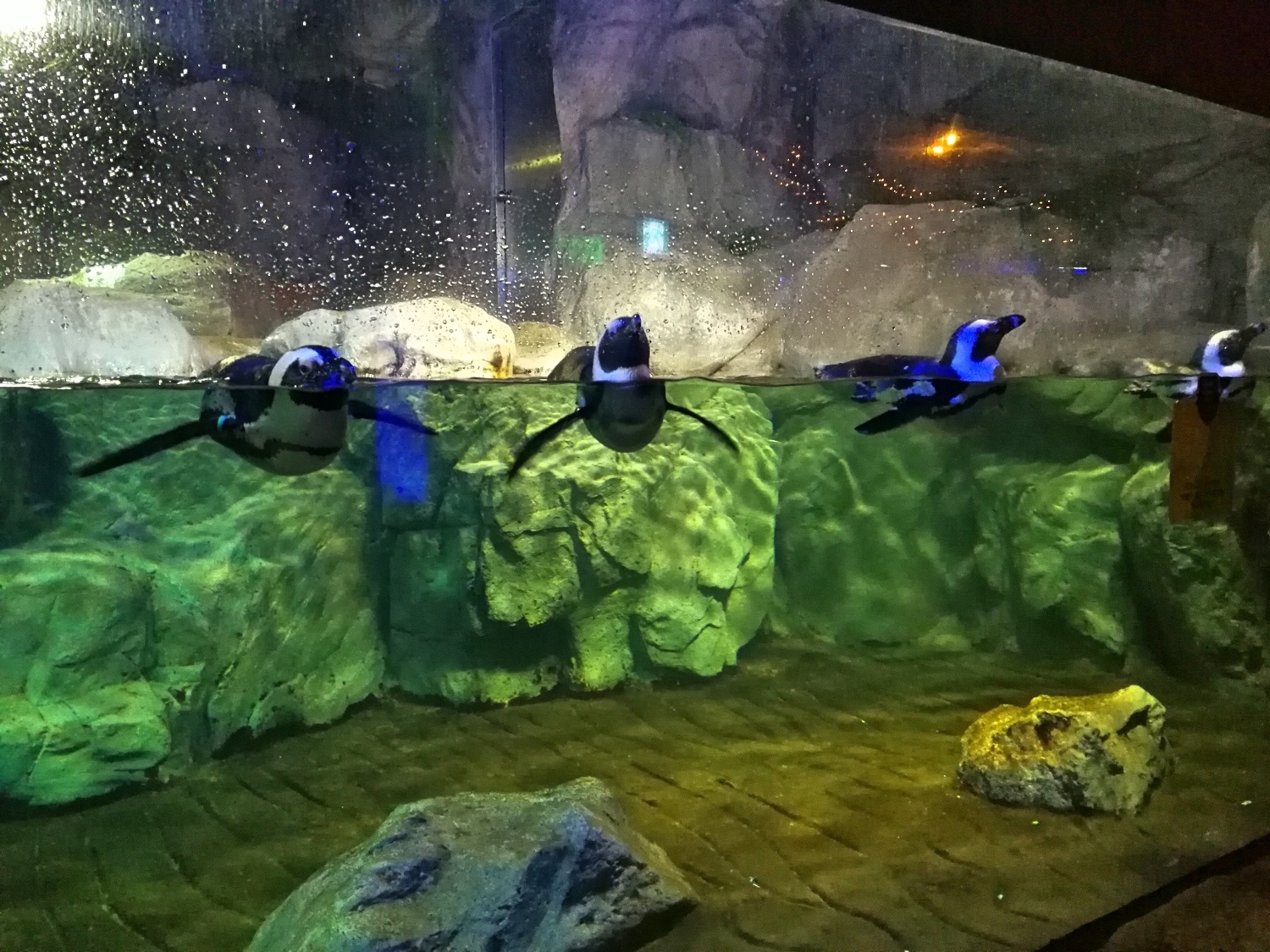 2-2釜山海雲臺海生館10.jpg