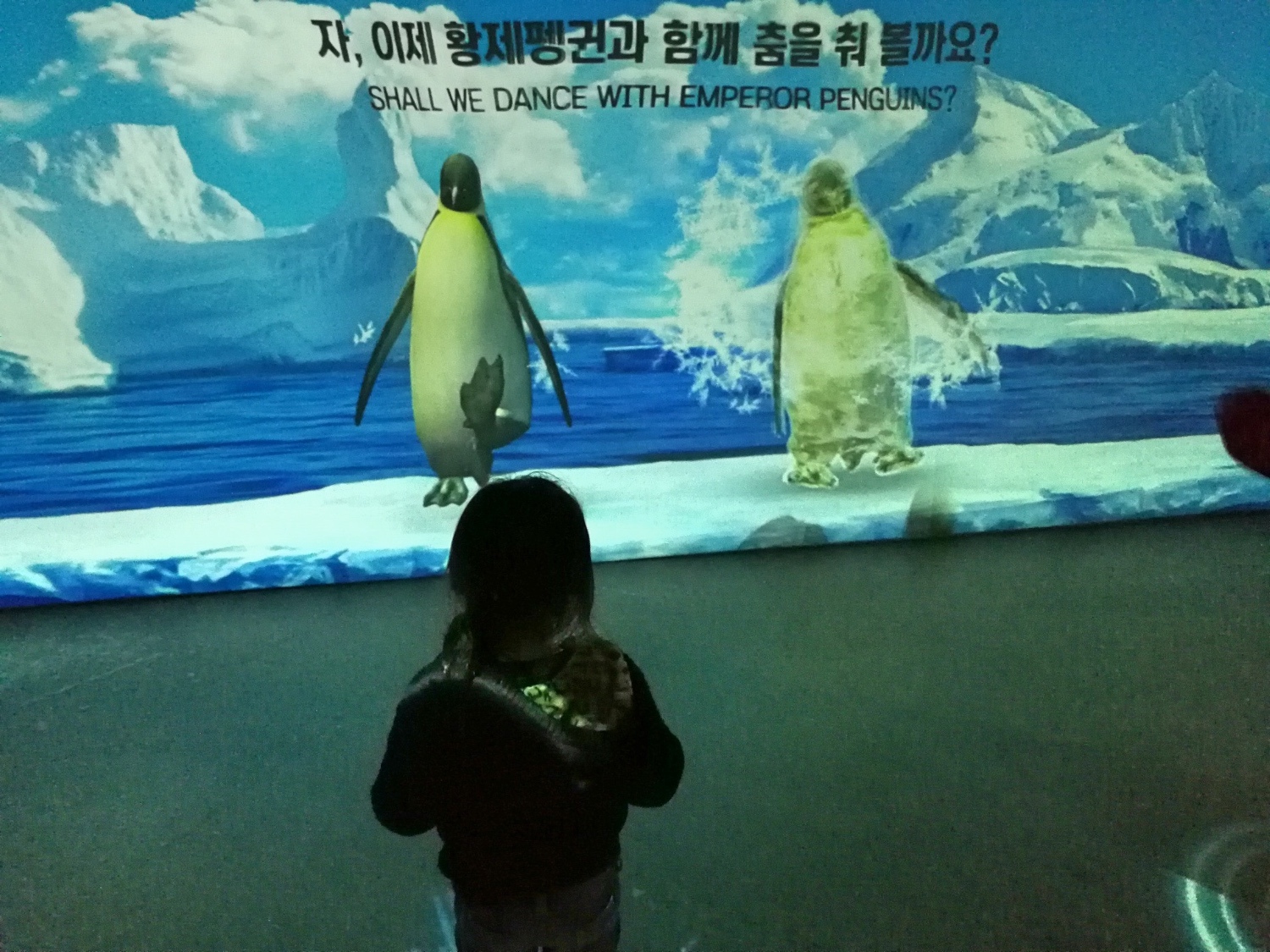 3釜山海雲臺海生館11.jpg
