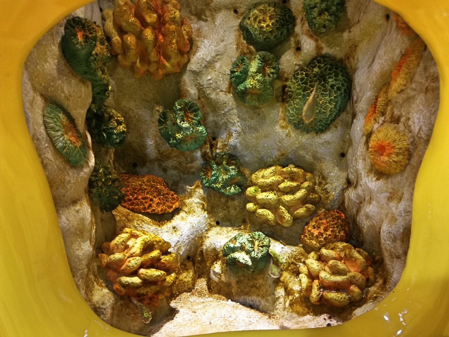 4-2釜山海雲臺海生館14.jpg