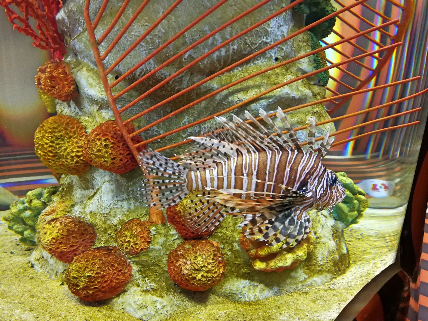 4-3釜山海雲臺海生館87.jpg