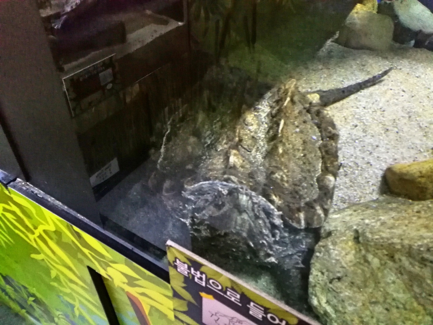 8釜山海雲臺海生館27.jpg