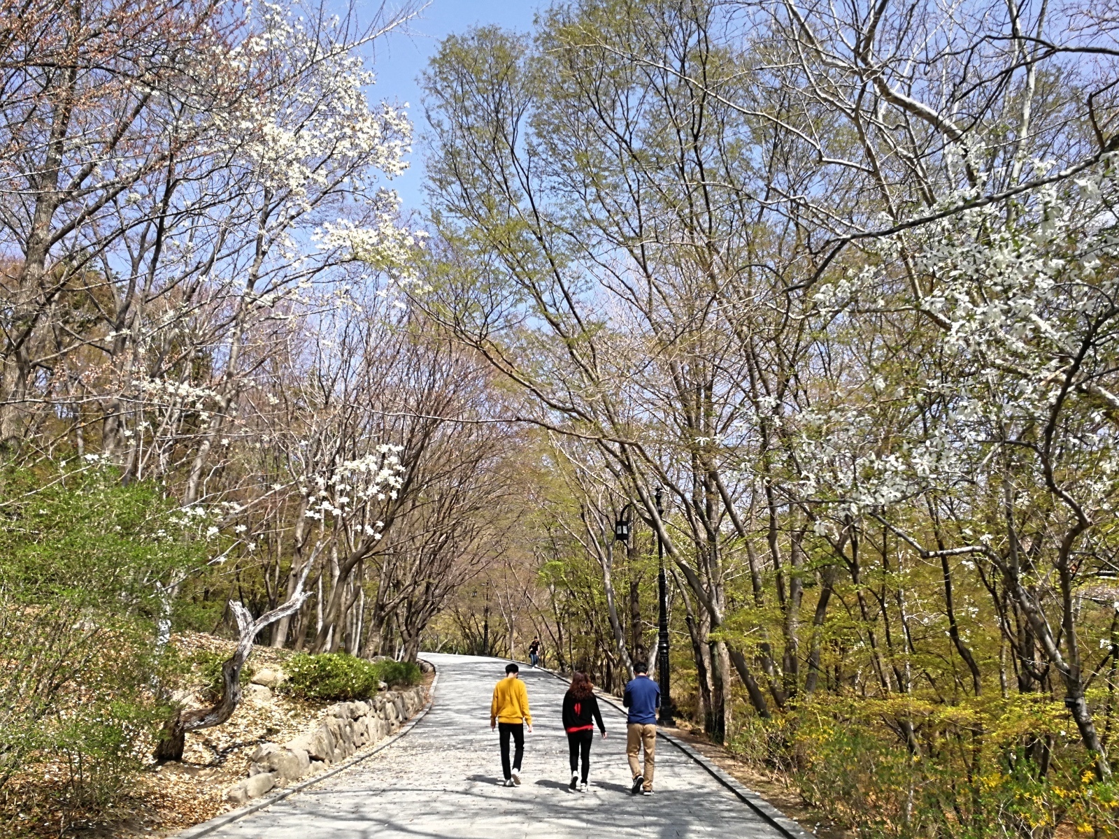 韓國慶州景點佛國寺-31.jpg