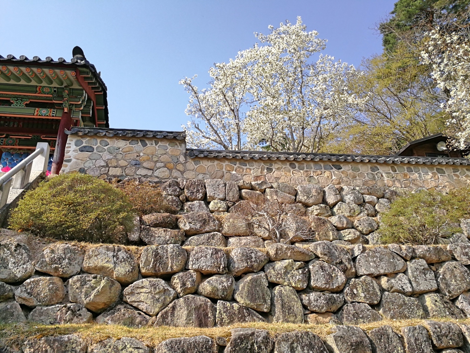 韓國慶州景點佛國寺-41.jpg