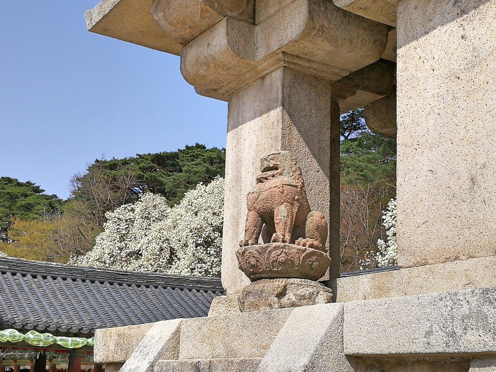 韓國慶州景點佛國寺-48.jpg