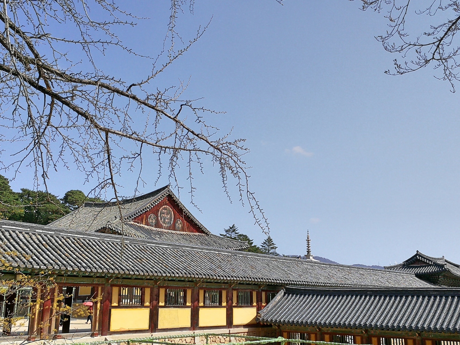 韓國慶州景點佛國寺-67.jpg