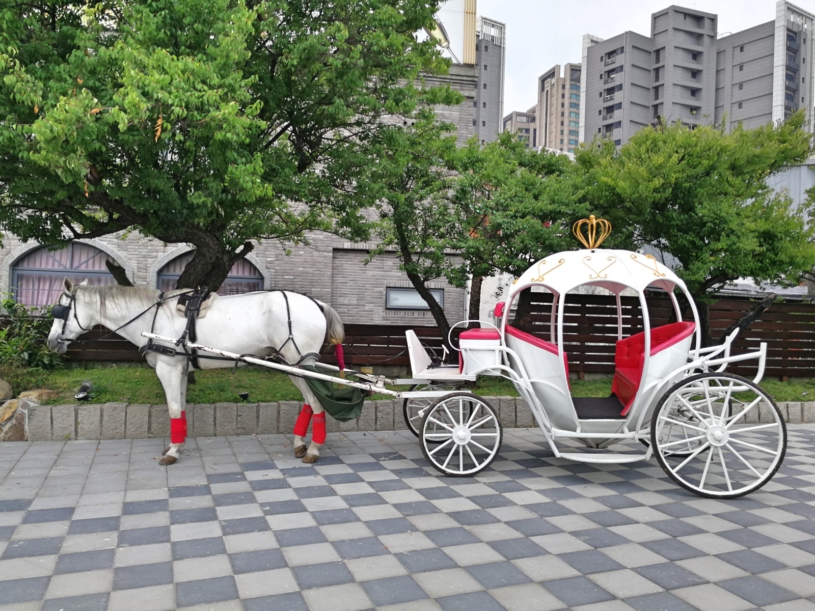 1-4青青格麗絲莊園_180506_0003.jpg