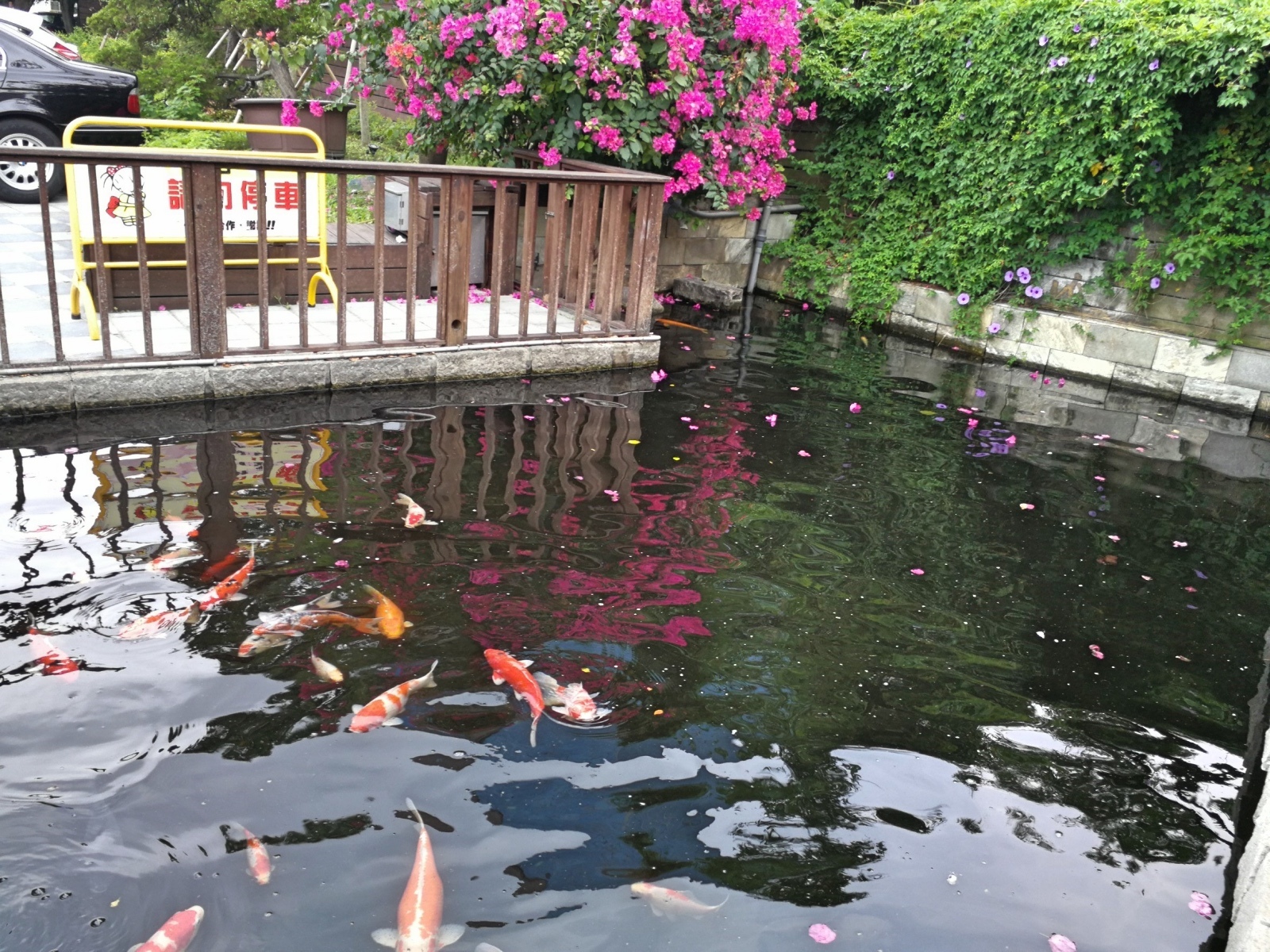 1-5青青格麗絲莊園_180506_0010.jpg