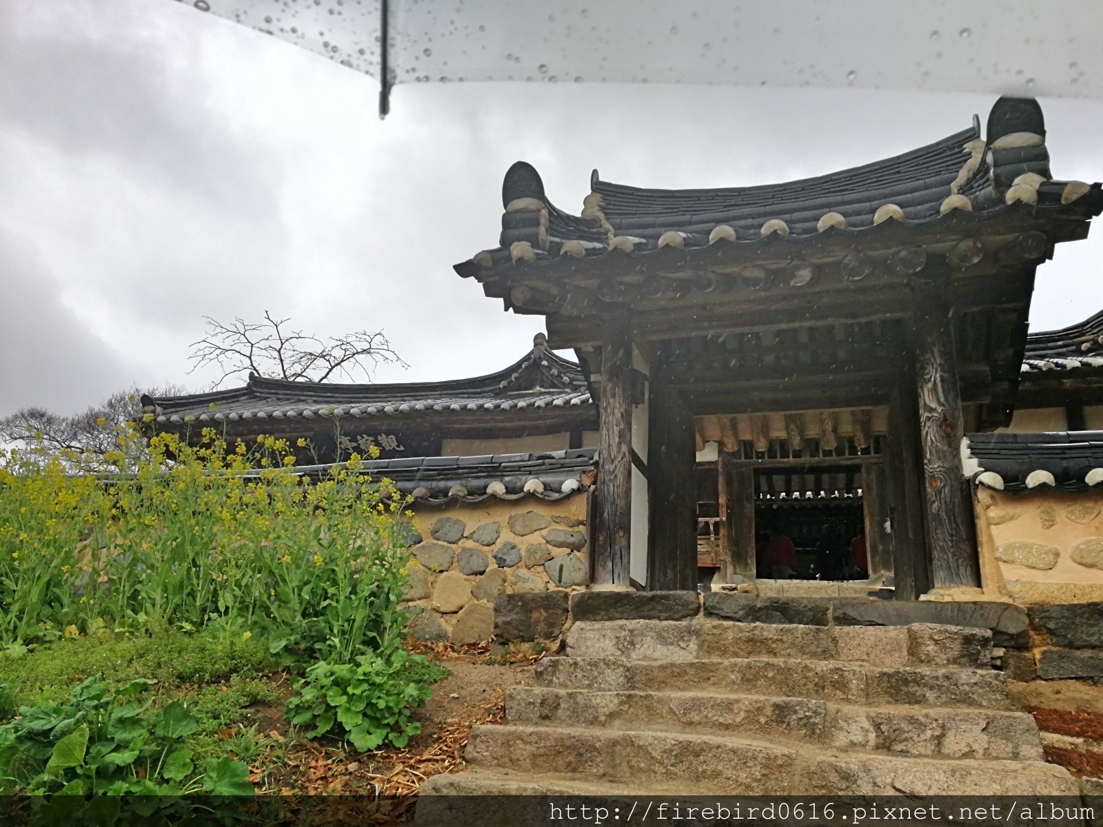 5韓國慶州自由行-良洞村17.jpg