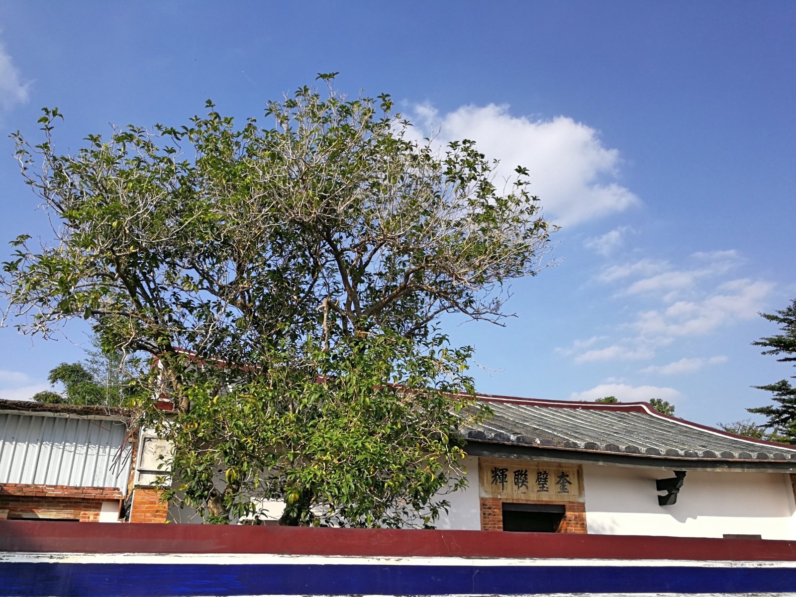4-6桃園大溪李騰芳古宅_181027_0033.jpg