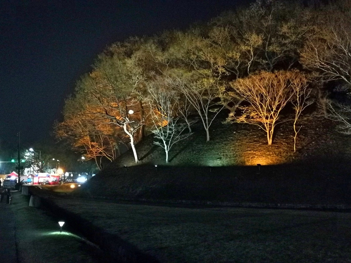 1韓國慶州自由行--市區古蹟35.jpg