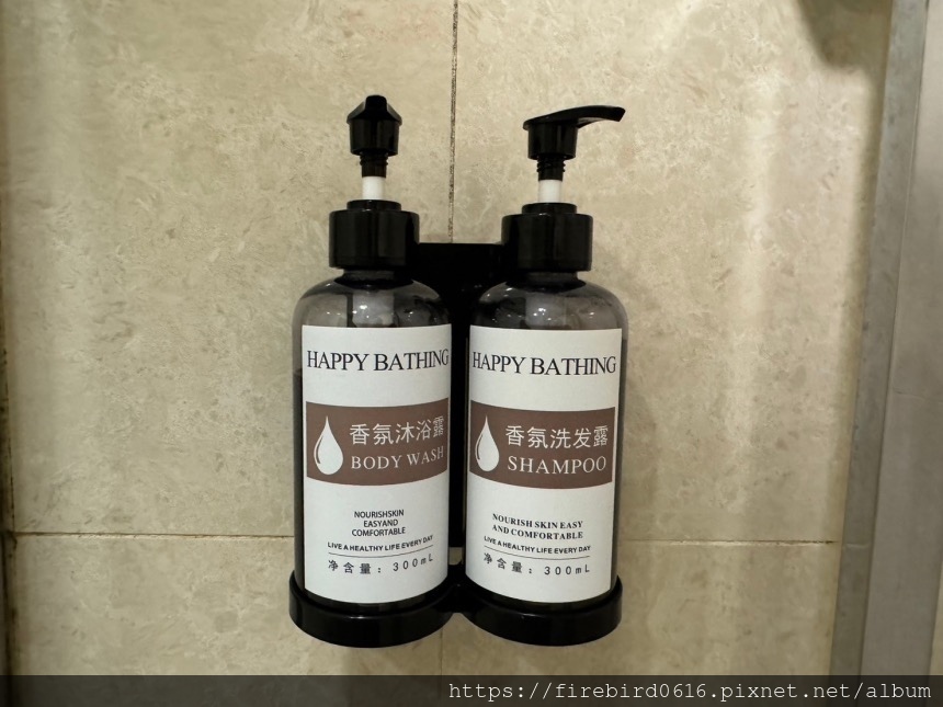3-9香港尖沙咀維港灣酒店-68.jpg