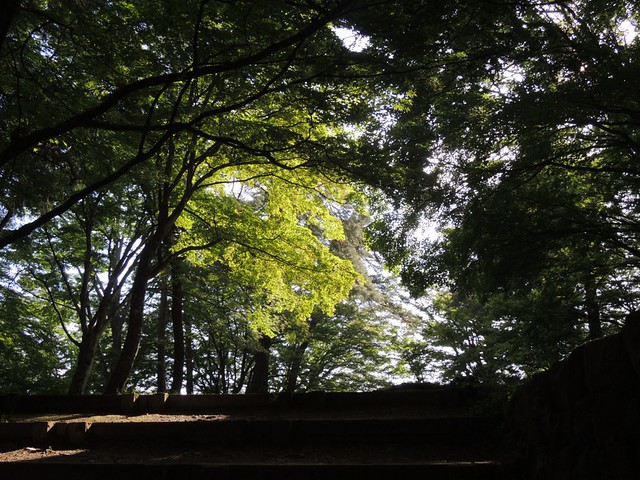 DSCN2581