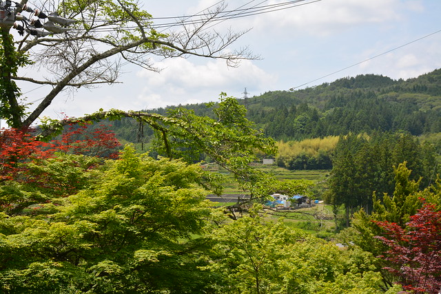 DSC_2664